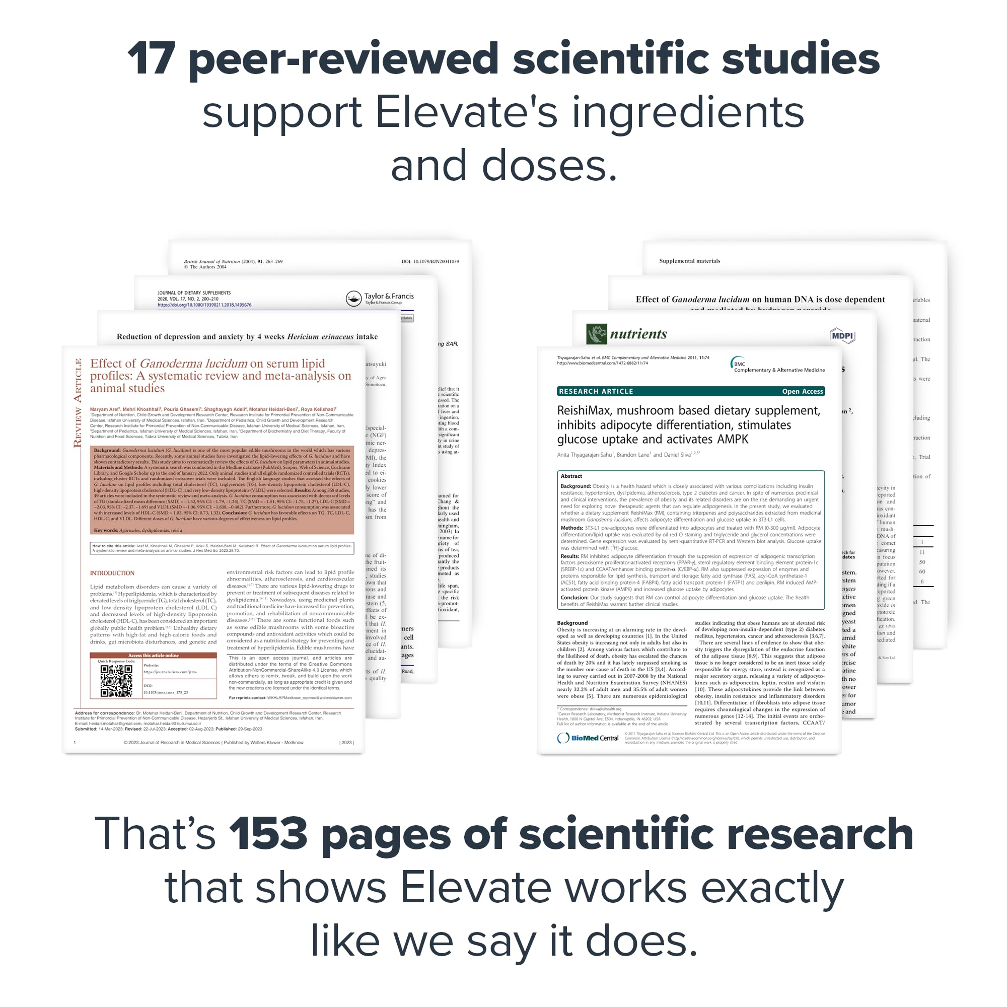Serving suggestion showing LEGION Elevate being mixed with water or shake