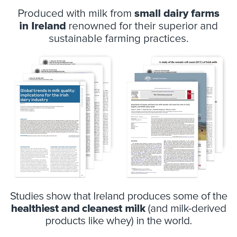 Legion protein bar ingredients close-up featuring prebiotic fiber