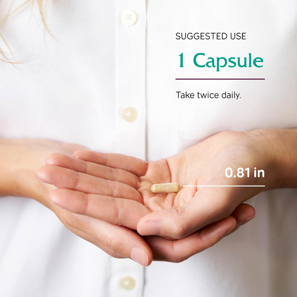 Diagram of veins and capillaries in the leg
