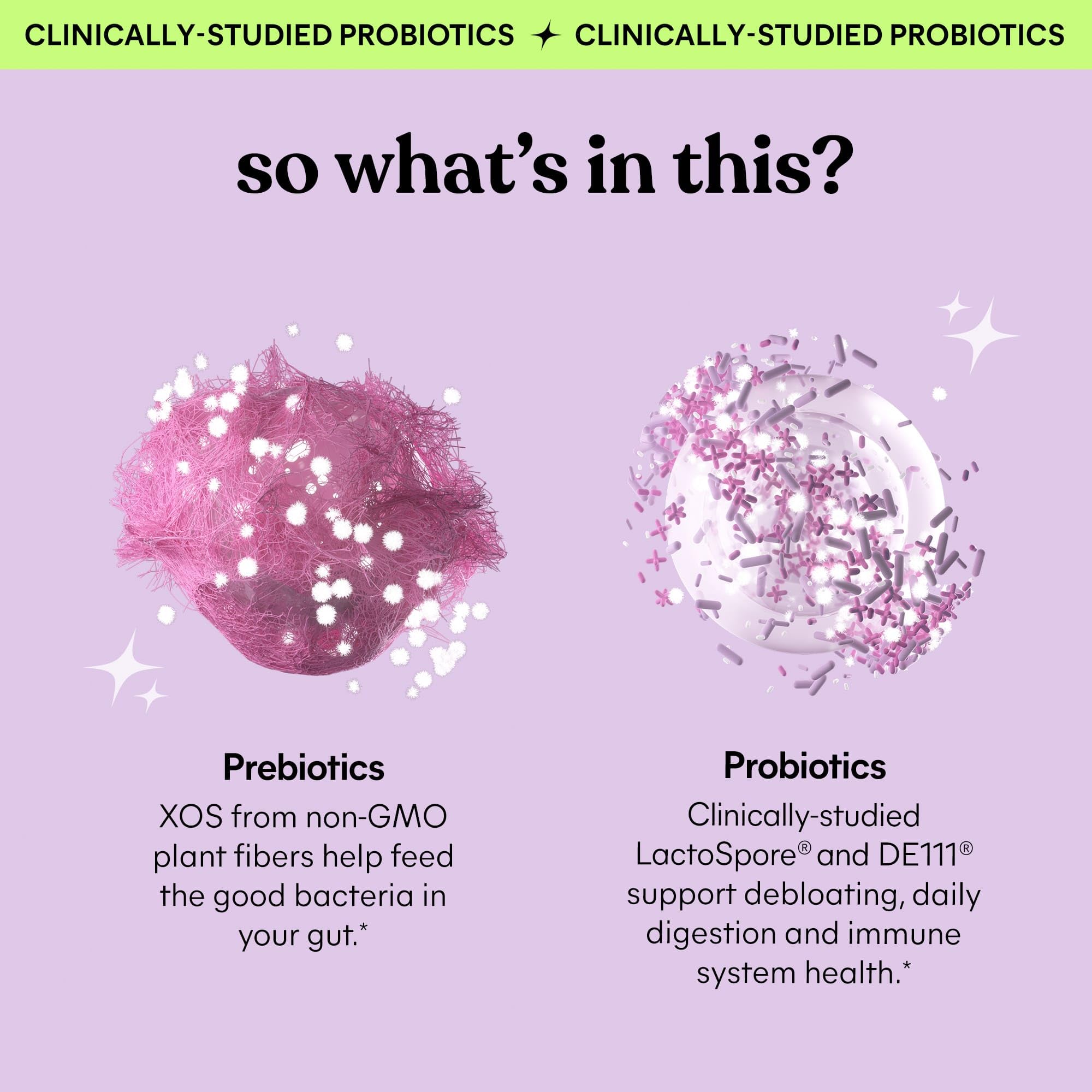 Gummies ingredients and supplement facts panel
