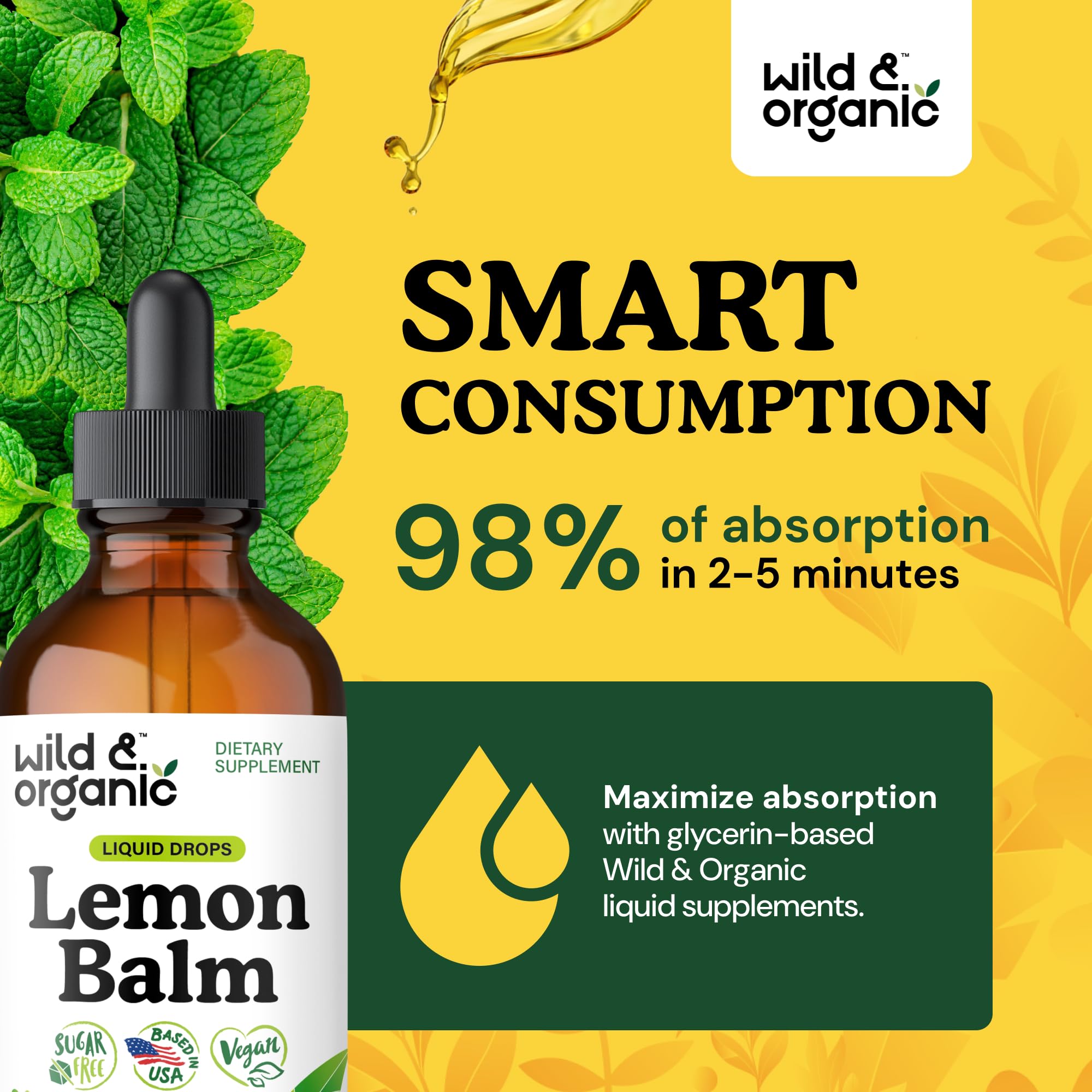Lemon balm leaf extract ingredients panel