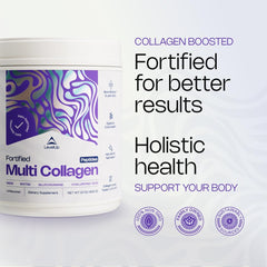 Collagen types I, II, III, V and X graphic