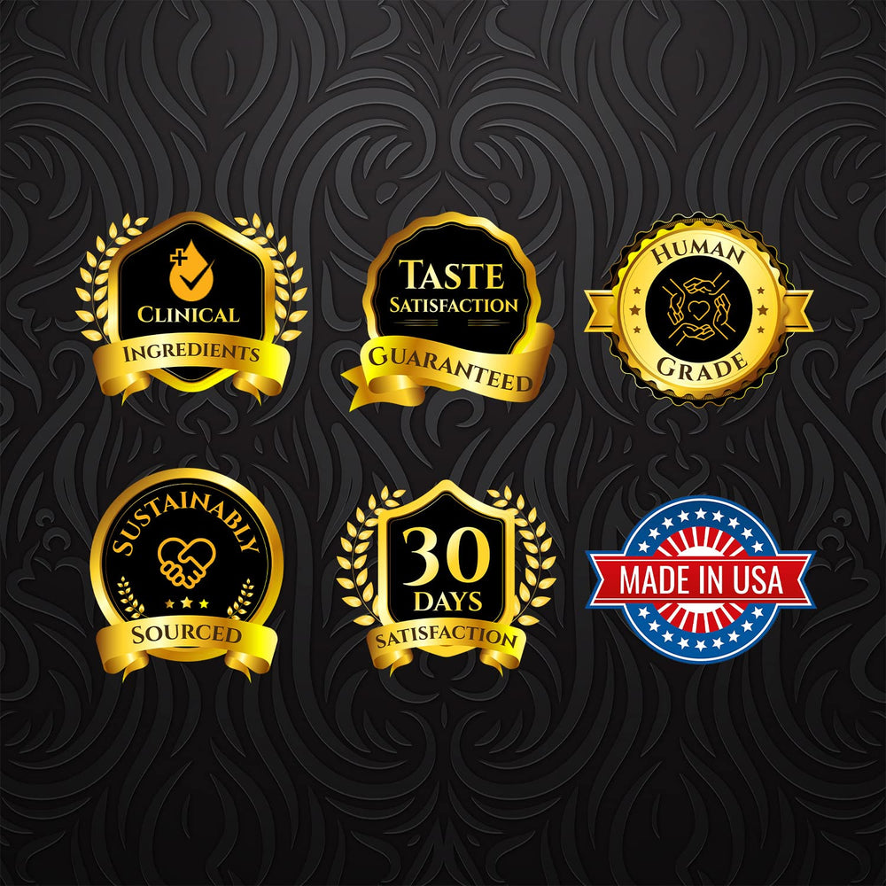 Lexelium weight gainer being stirred into dry kibble during mealtime