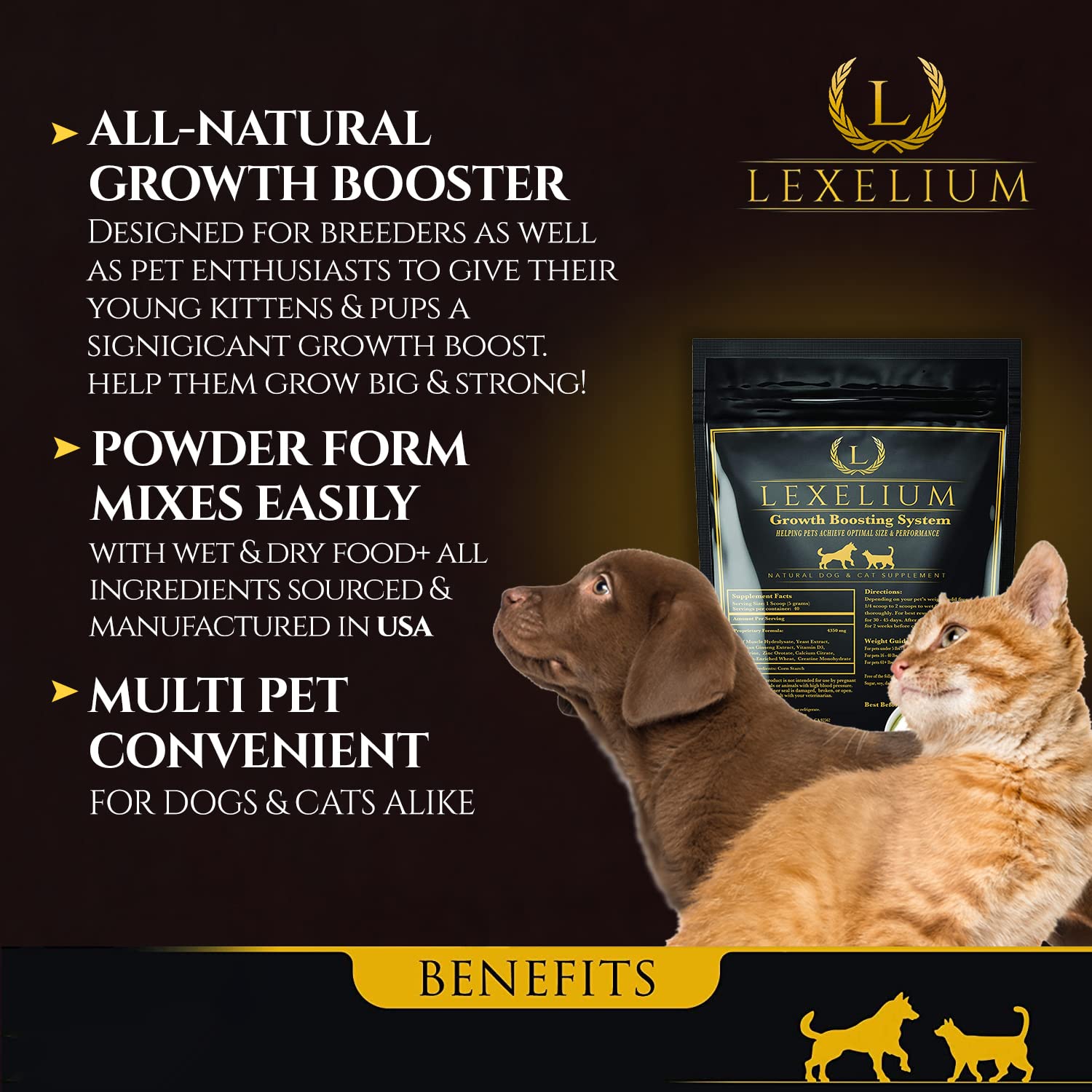 Lexelium weight gainer being added to a puppy's food bowl to boost appetite