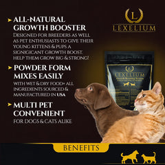 Lexelium weight gainer being added to a puppy's food bowl to boost appetite