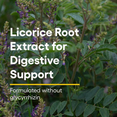 Graphic showing licorice root extract ingredient