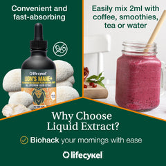 Illustration of double extraction process for Lion's Mane tincture