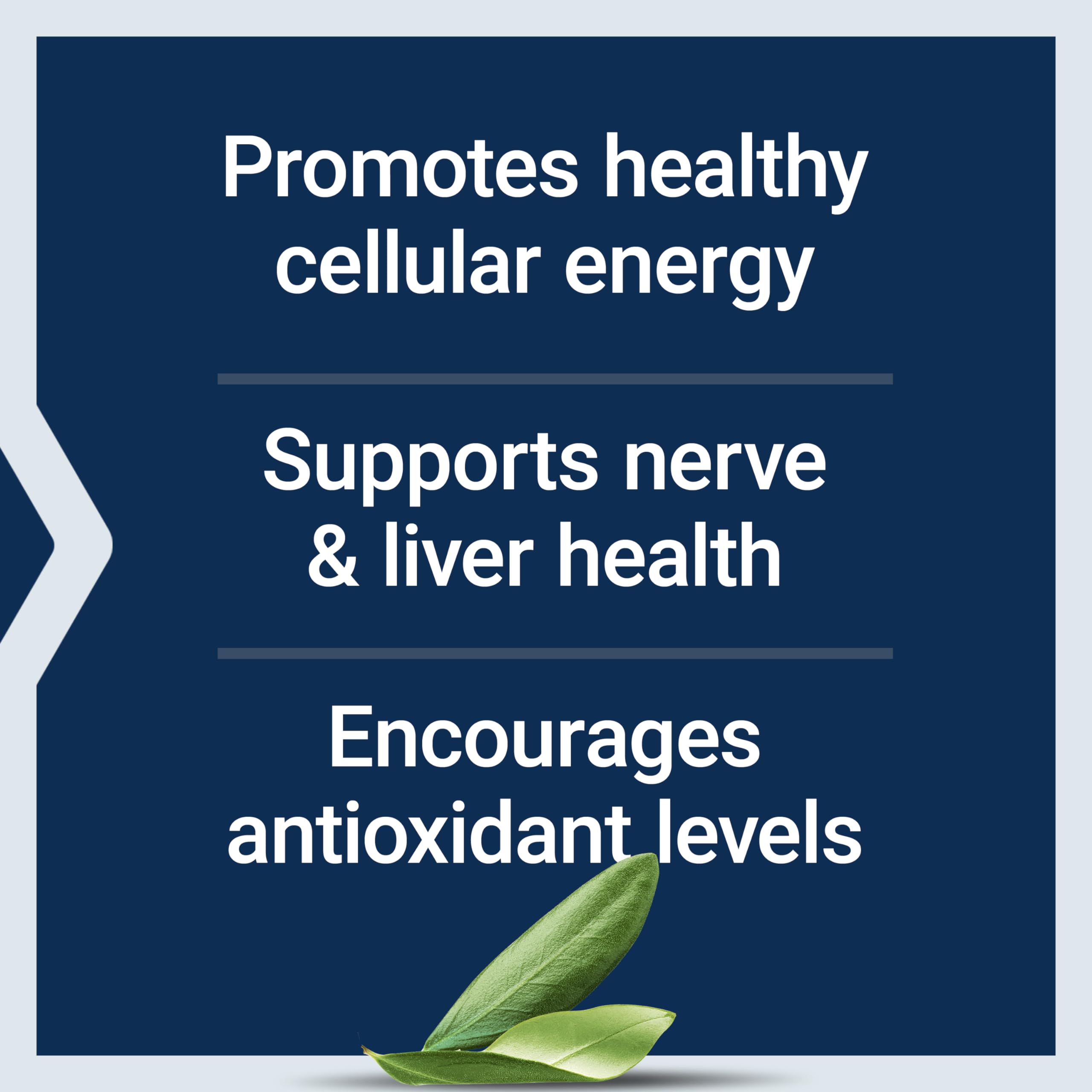 Supplement facts panel for Alpha-Lipoic Acid with Biotin