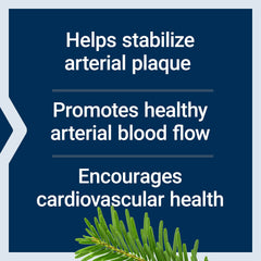 Pycnogenol pine bark and gotu kola ingredients for Arterial Protect
