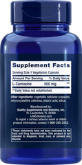 Close-up of L-carnosine capsules (500 mg each)