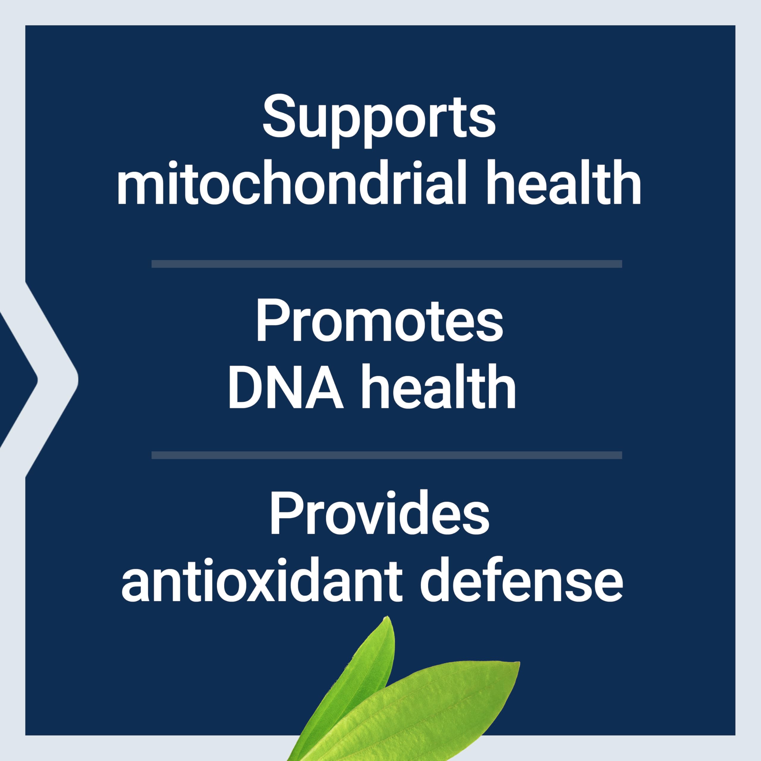 Non-GMO label on Life Extension Chlorophyllin bottle