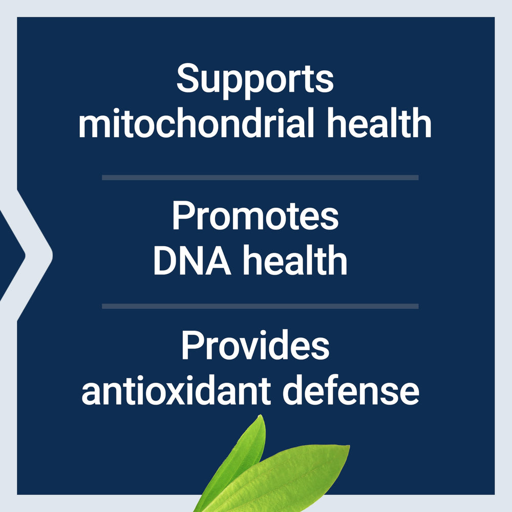 Non-GMO label on Life Extension Chlorophyllin bottle
