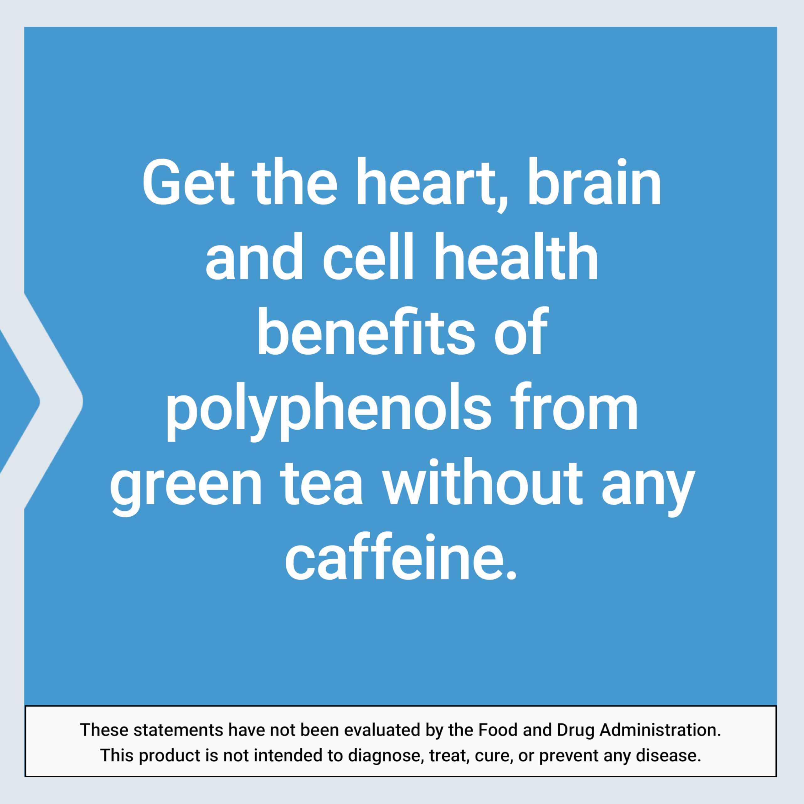 Green tea leaves and brain-heart-health concept imagery