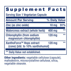 Illustration representing hops extract for DNA protection