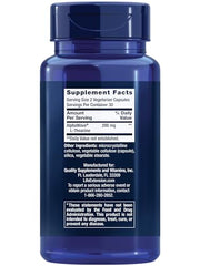 Close-up of L-Theanine capsules in a clear container