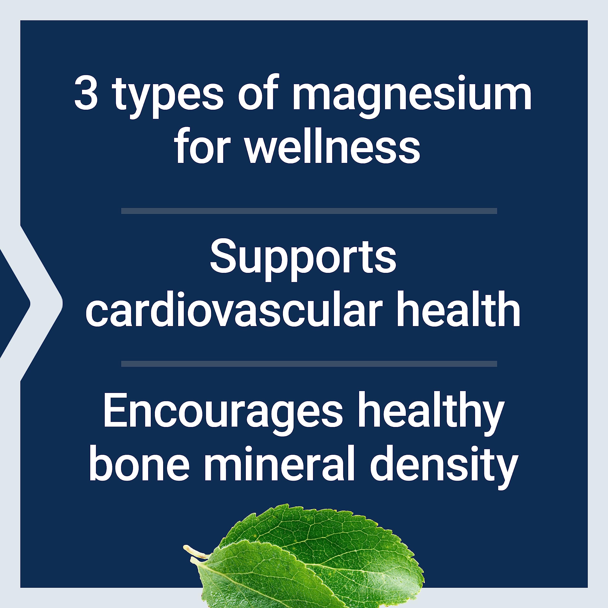 Graphic showing magnesium supporting heart health and blood flow