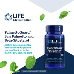 Rosemary extract for antioxidant activity