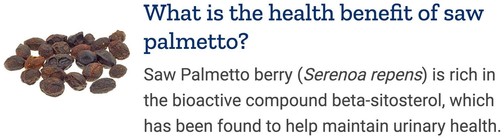 Graphic illustrating ingredients such as saw palmetto and nettle