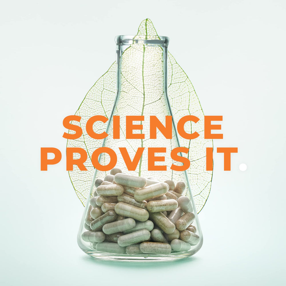 Lifestyle image showing daily use of Bone Densi-T