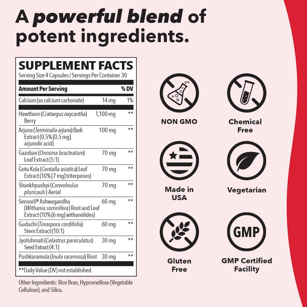 Heart health concept with LifeSeasons B/P Stabili-T