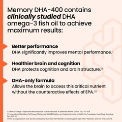 Brain health concept illustrating memory and cognitive function