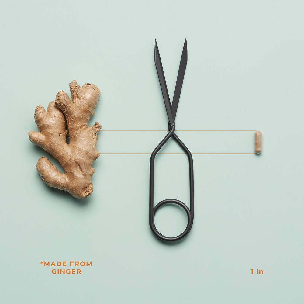 Concept image showing hormonal balance and tissue support