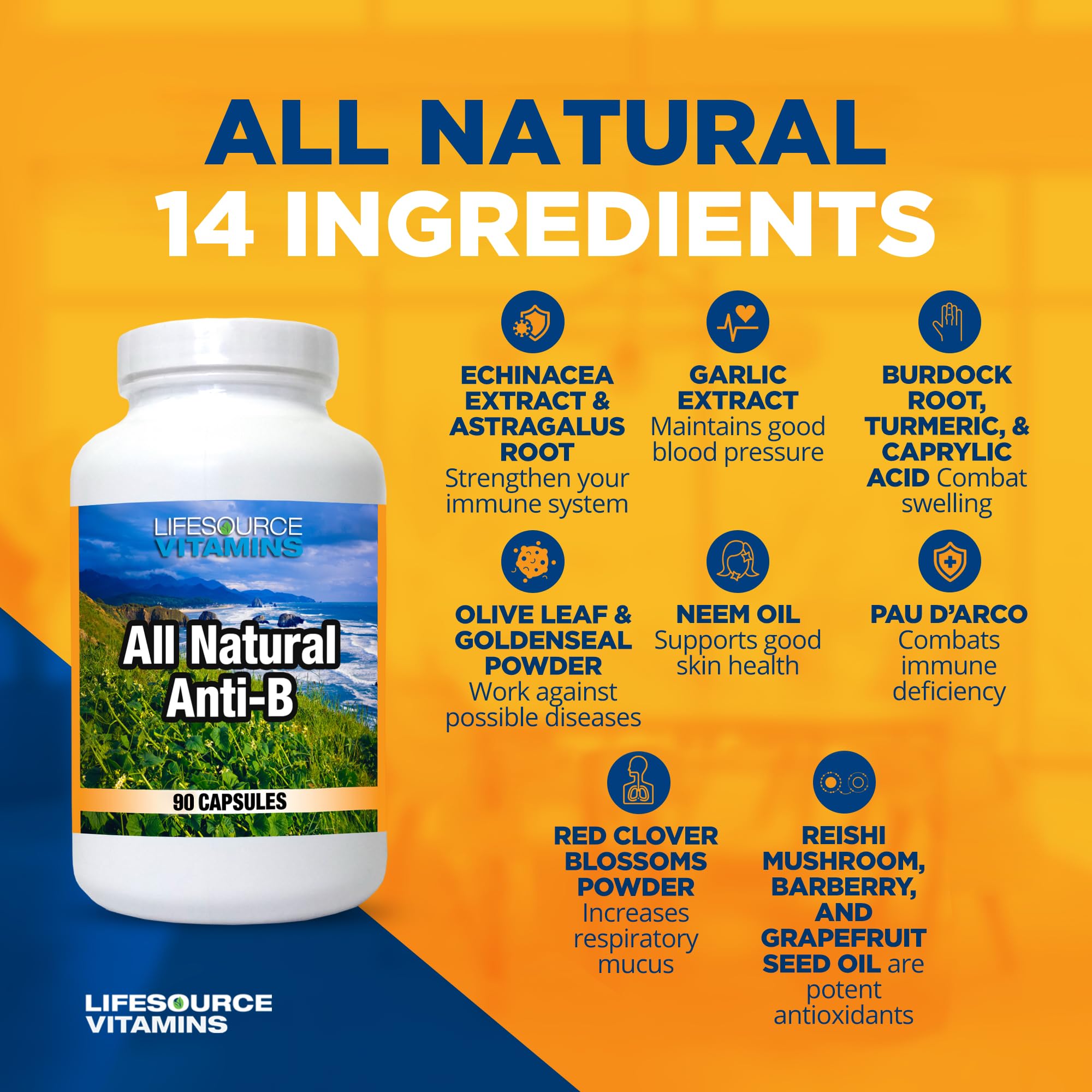 Close-up of echinacea, astragalus and garlic ingredients used in Anti-B immune capsules