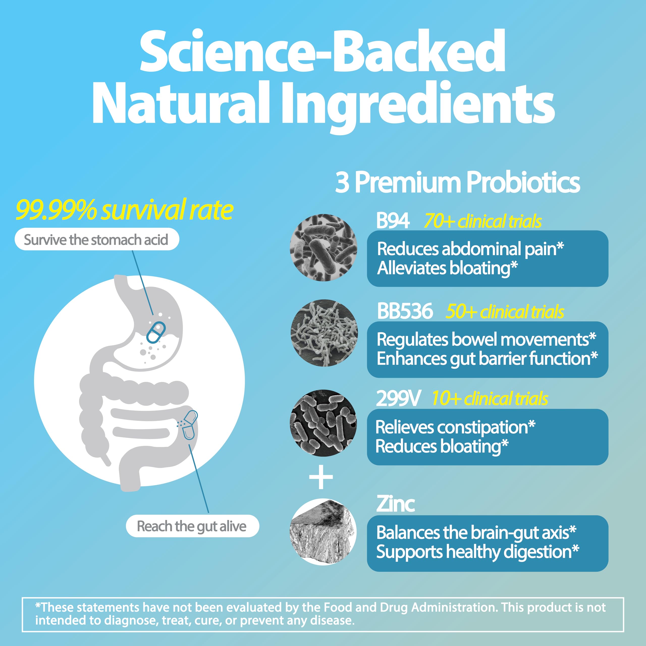 Bifidobacterium lactis B94 probiotic strain