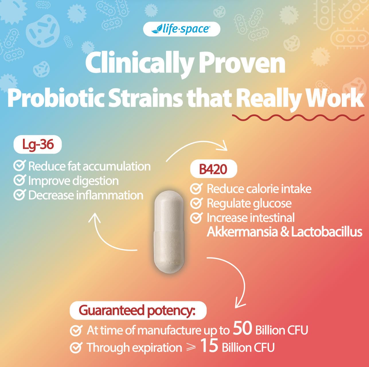 Vegetarian-friendly, non-GMO probiotic capsule label