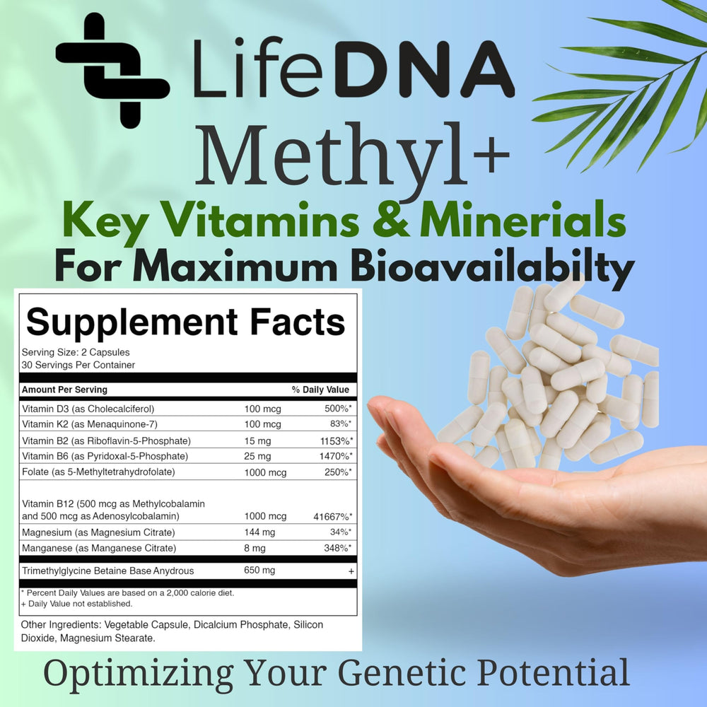 Made in USA label on LifeDNA supplement bottle