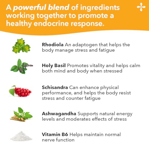 LifeSeasons Adrenal-T bottle with packaging