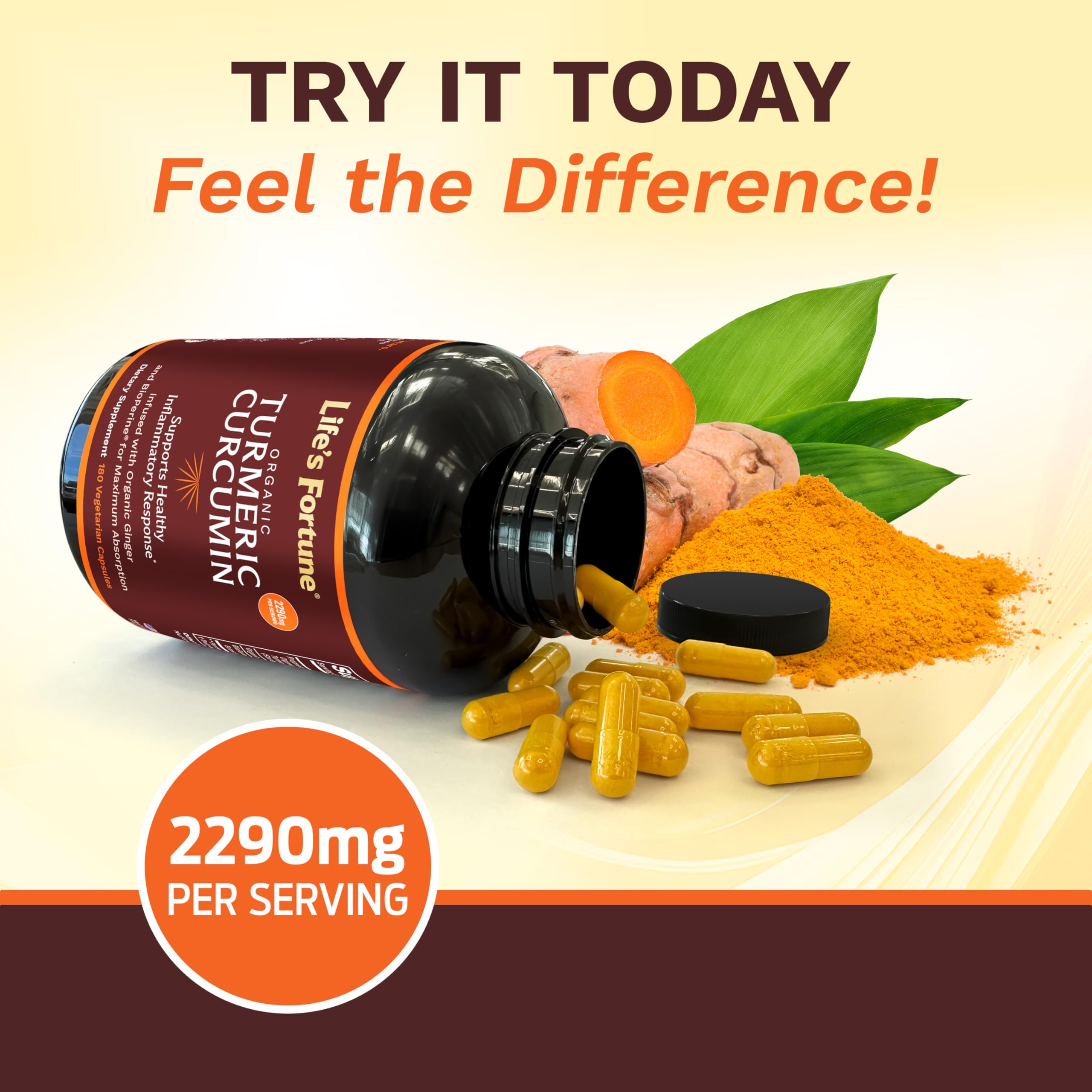 Outer box packaging and bottle display for Life's Fortune Turmeric Curcumin