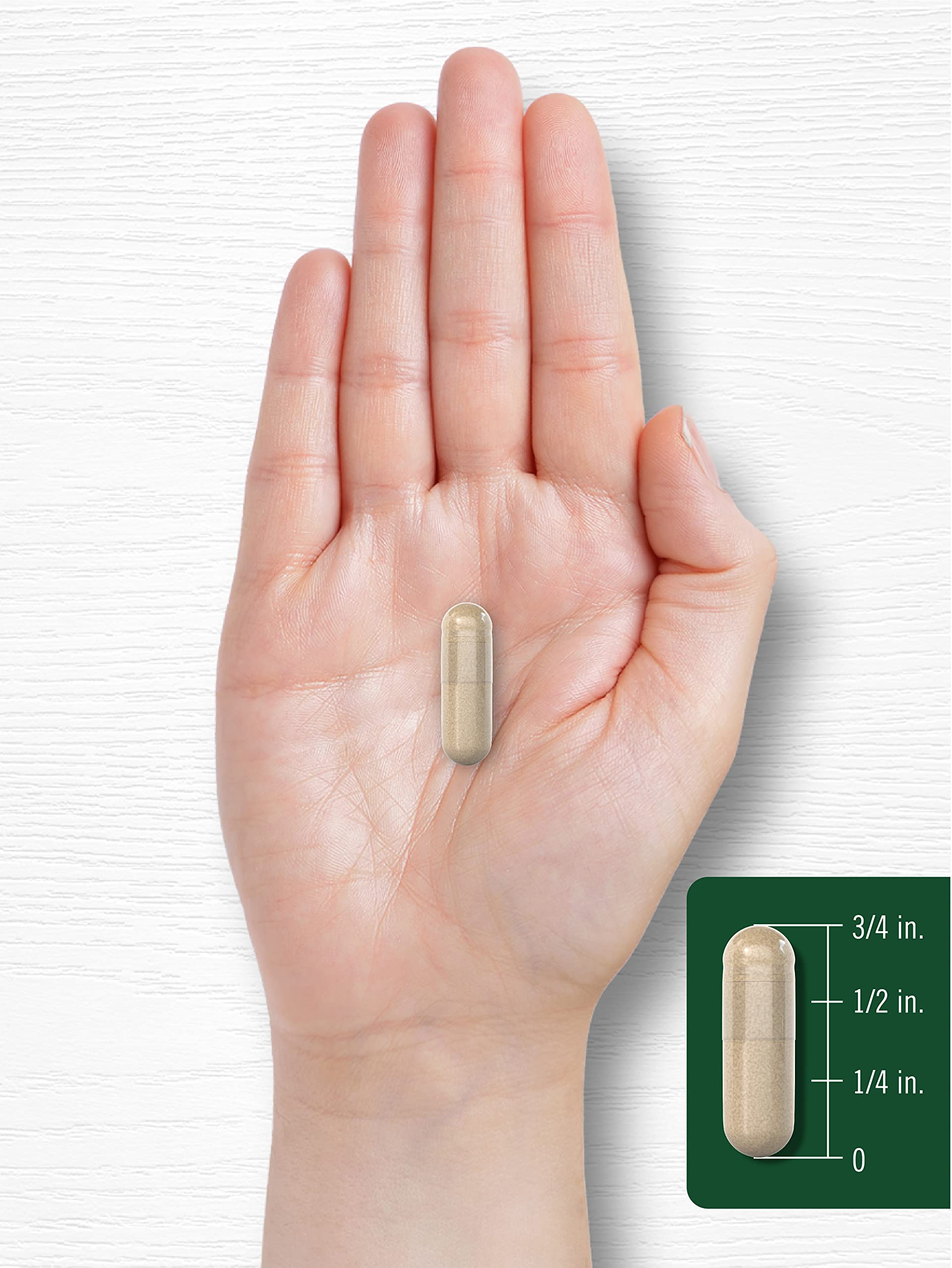 Lifestyle shot of Prickly Pear supplement bottle