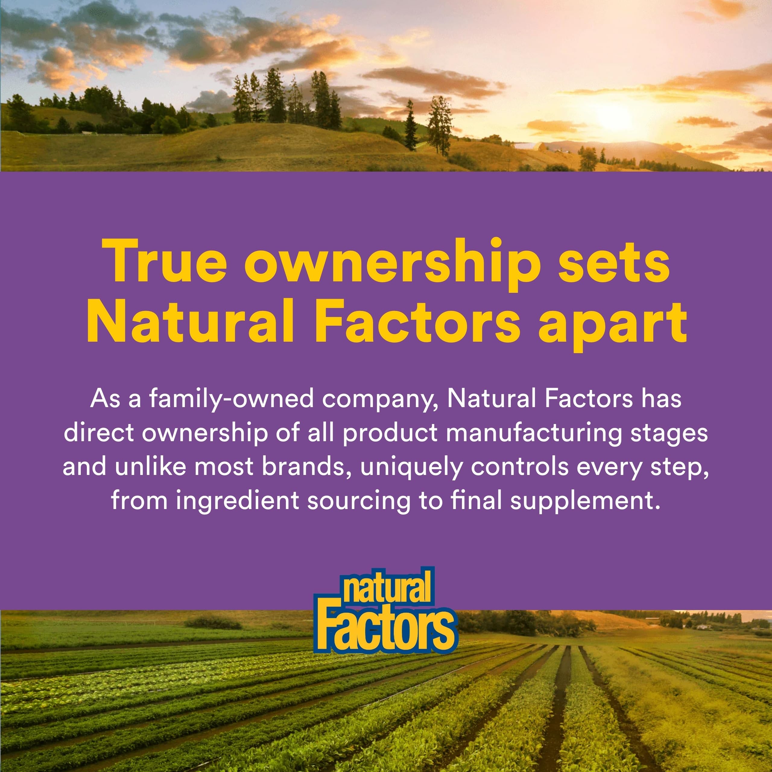 Lifestyle image conveying calm and relaxation