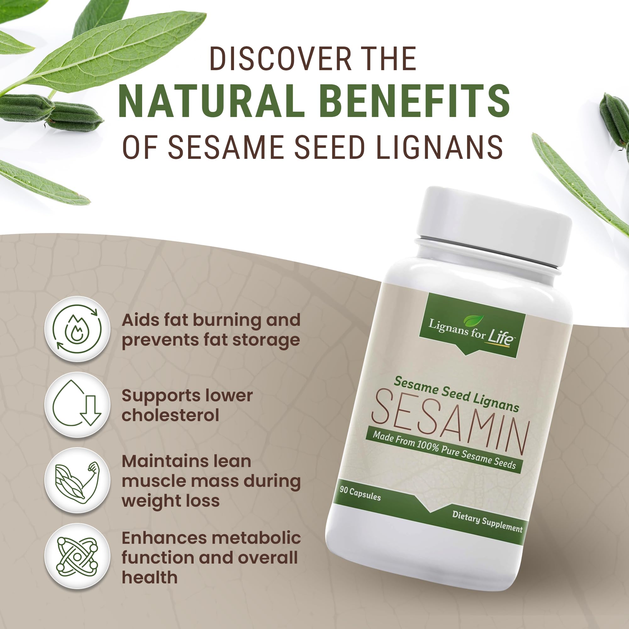 Lignans For Life sesame extract hormone balance scene highlights natural support