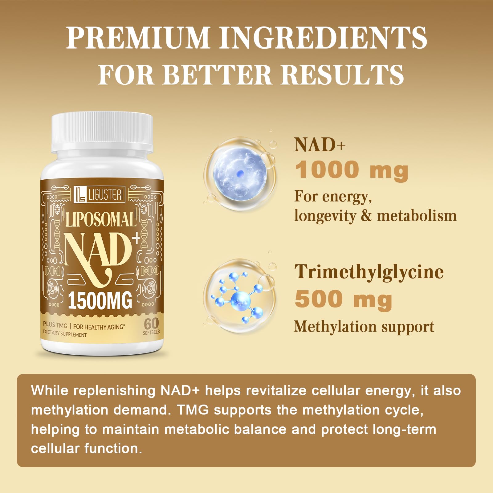 60 softgels serving size image