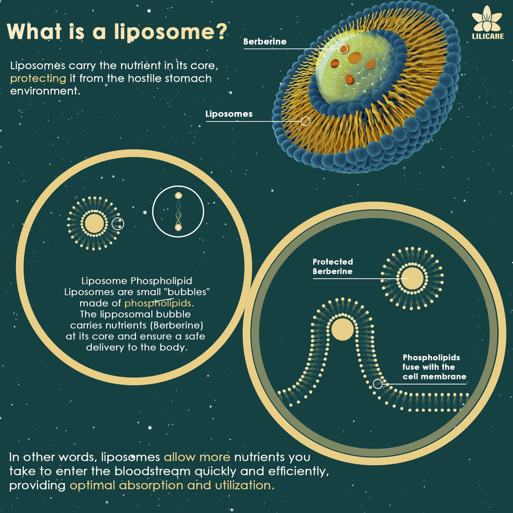 Ingredients overview: berberine liposomal gummies with cinnamon, bitter melon, banaba leaf