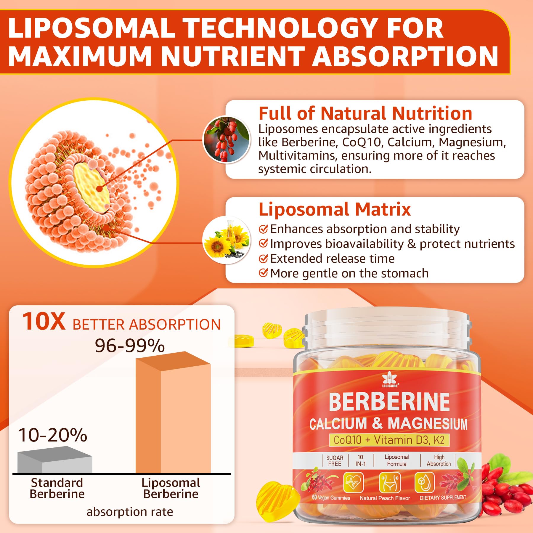 Graphic illustrating liposomal delivery for Berberine HCI with enhanced absorption