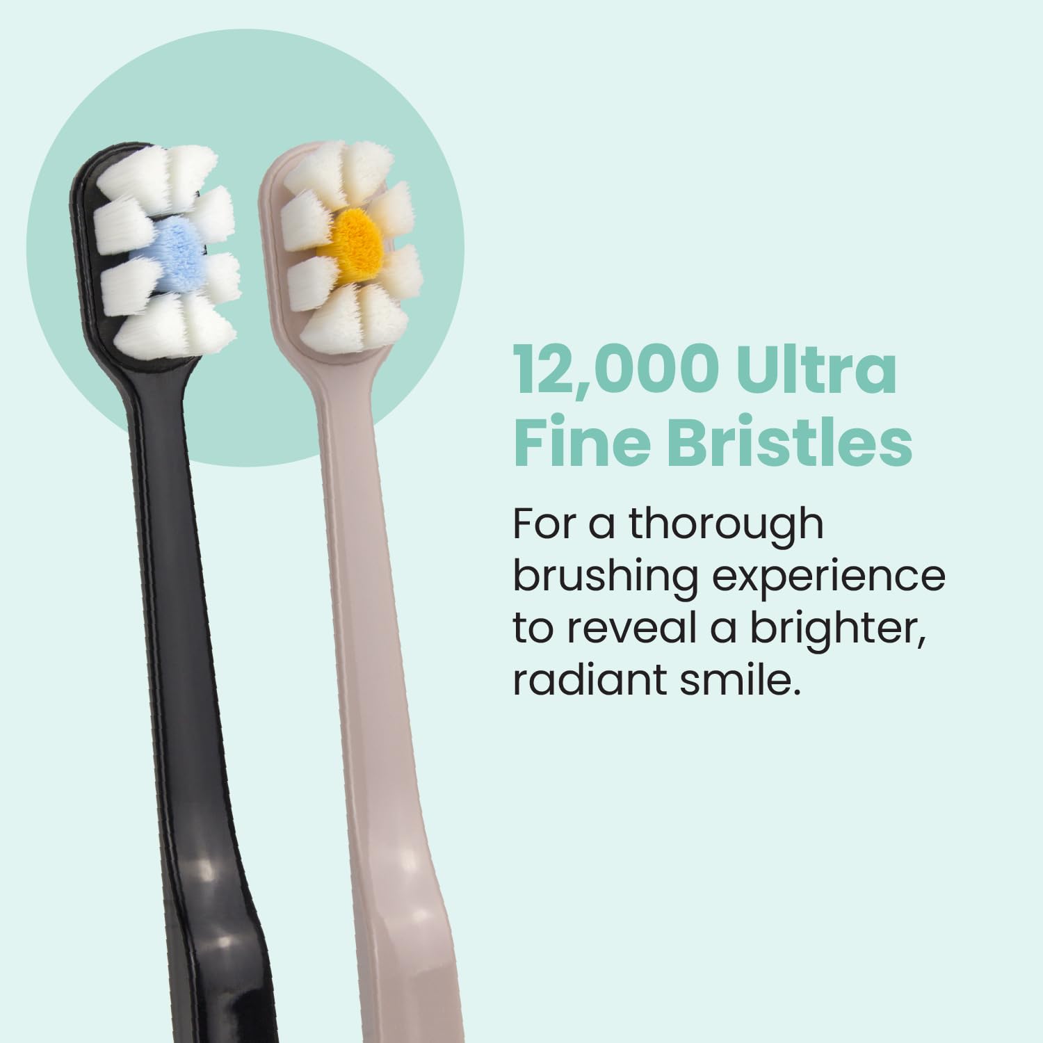 Black Lindo Polishing Toothbrush metal-free bristle planting for rust-free use