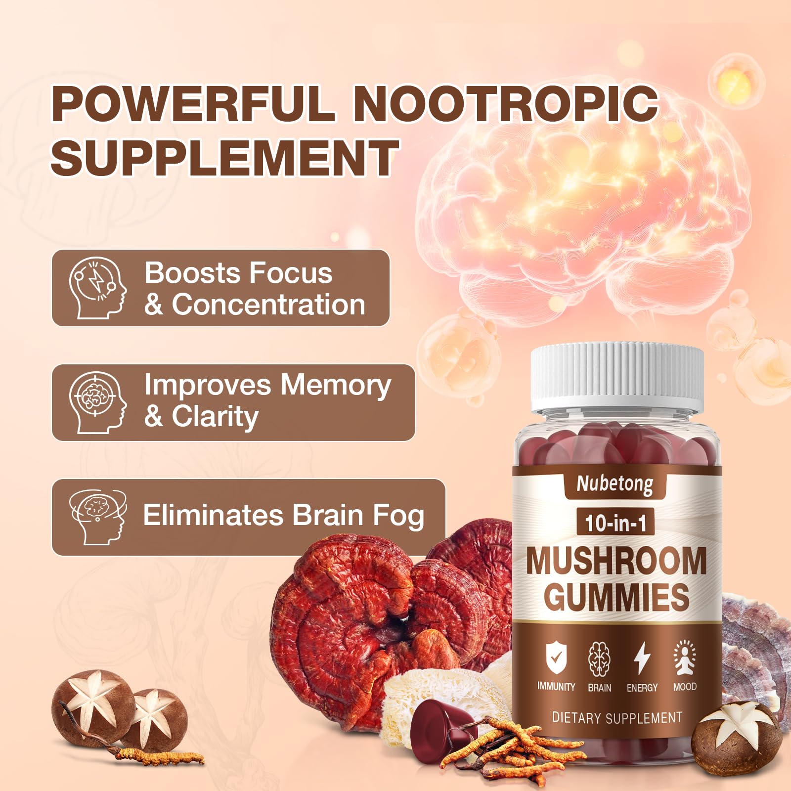 Mushrooms including Lion's Mane, Reishi, Chaga and Turkey Tail