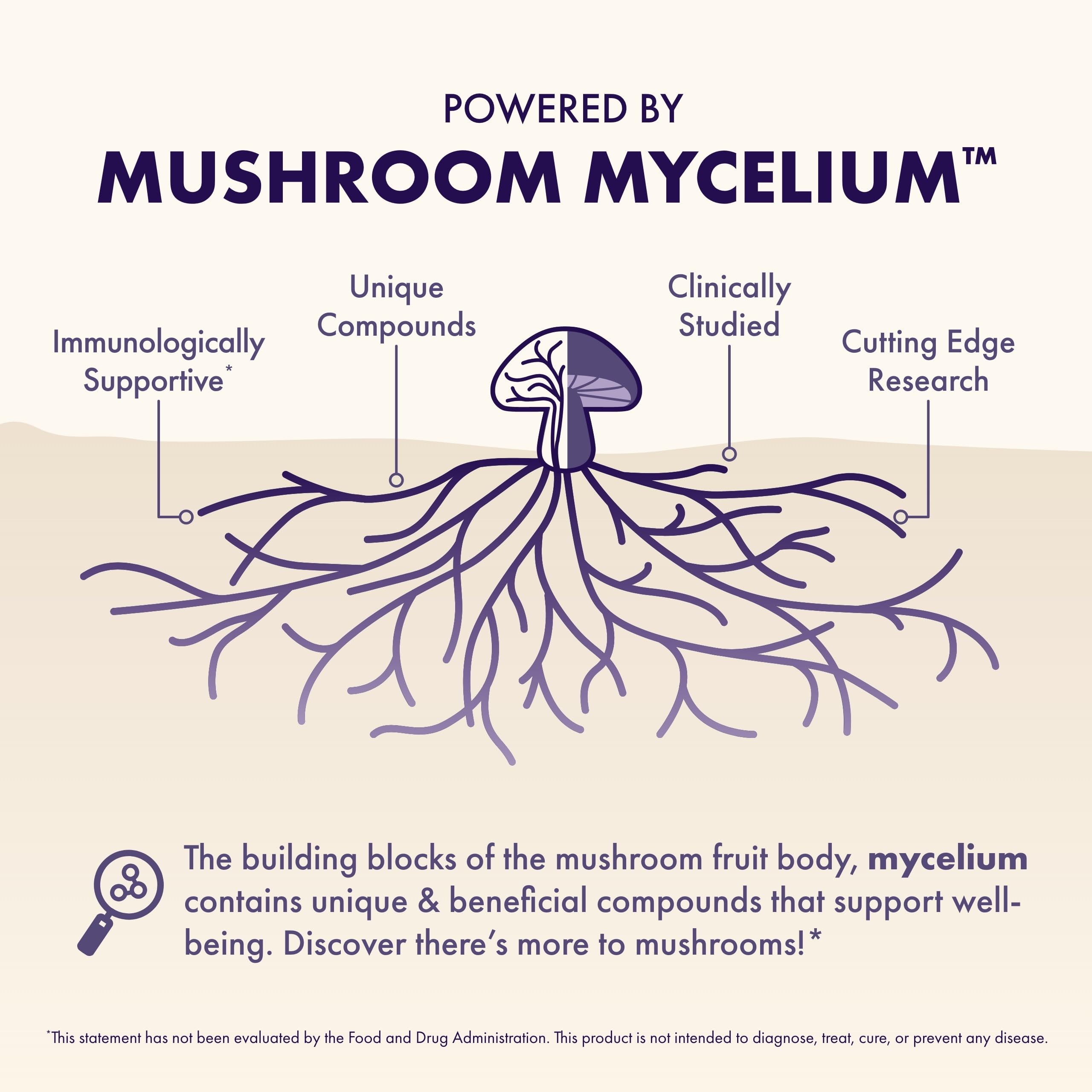 Illustration of Lion's Mane, Reishi, Cordyceps with B vitamins and choline