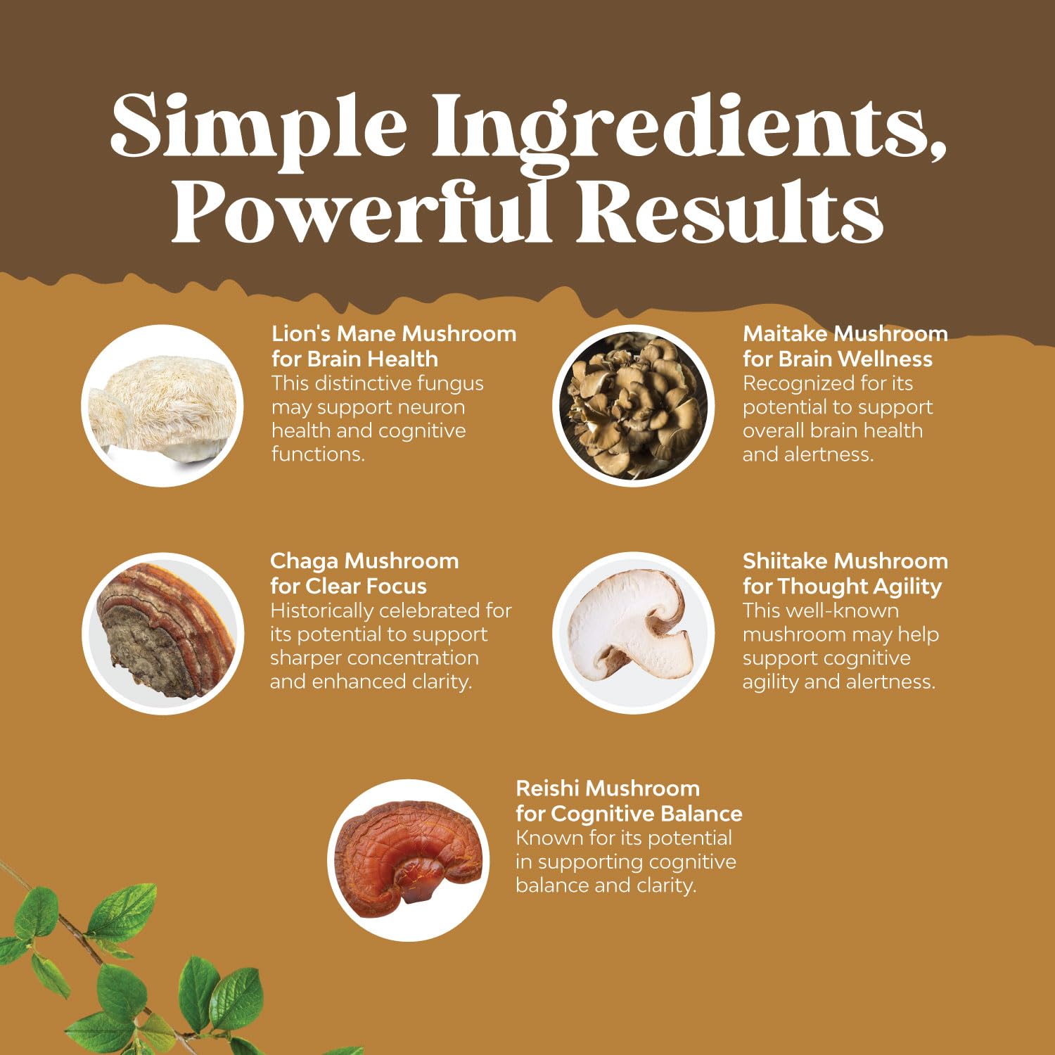 Lions Mane with Reishi for immune support