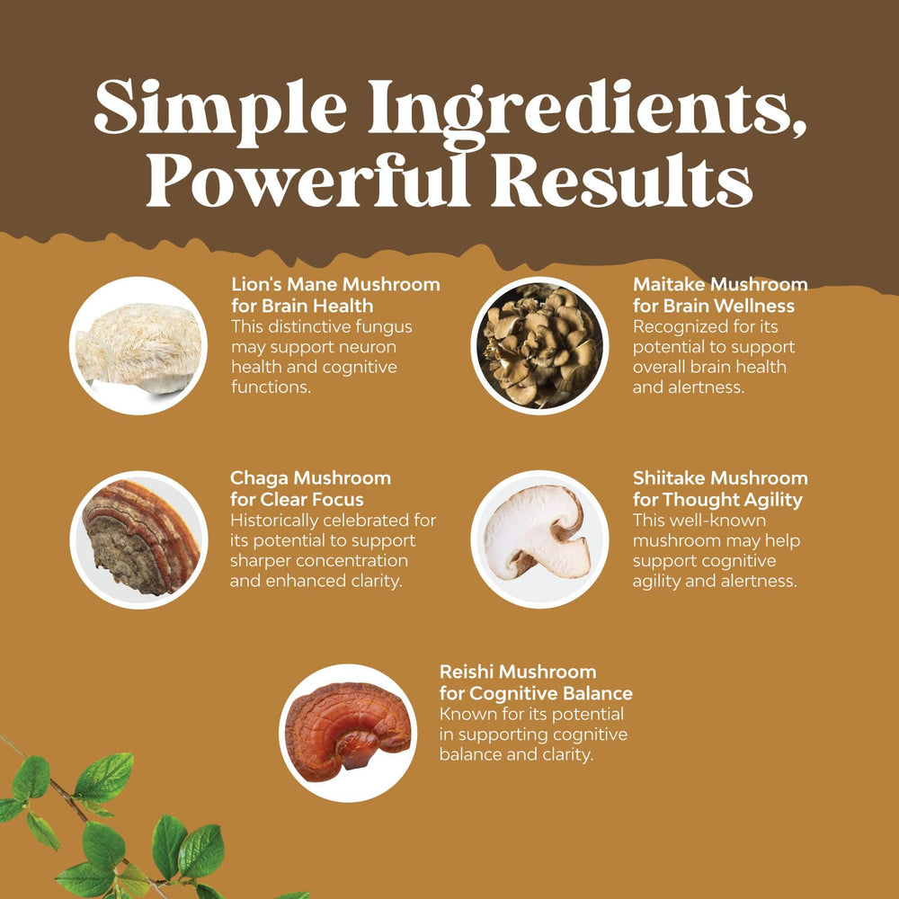 Lions Mane with Reishi for immune support