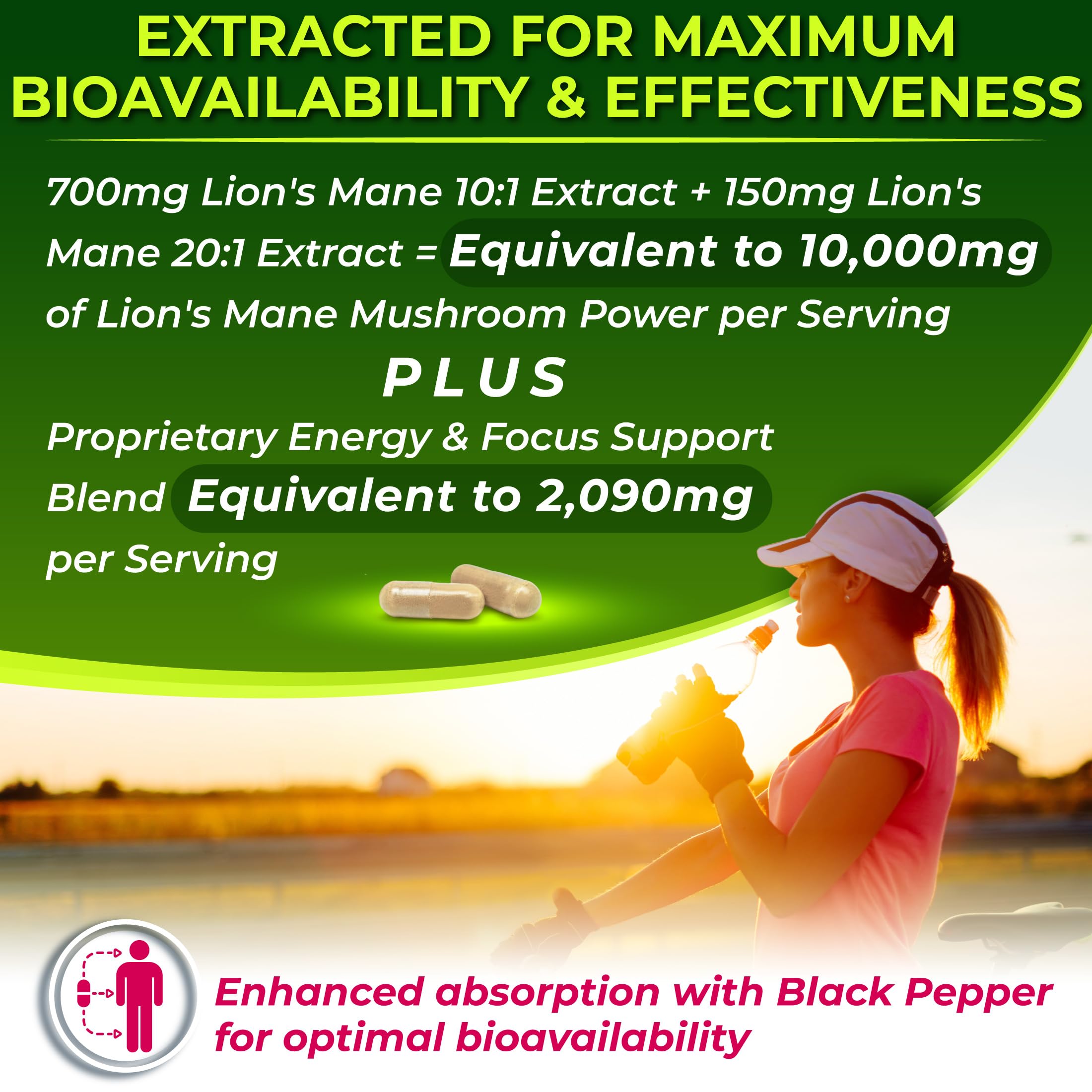 Close-up of Lion's Mane extract blends 10:1 and 20:1