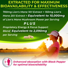 Close-up of Lion's Mane extract blends 10:1 and 20:1