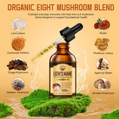 Lion's Mane mushroom highlighting brain-boosting benefits