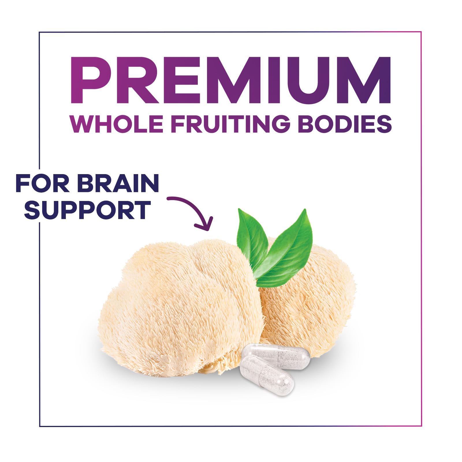 Vegan, non-GMO Lions Mane Capsule label