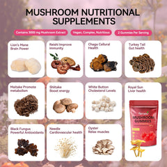 Lion's Mane extract highlighting cognitive support