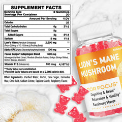 Packaging for Lions Mane Gummies highlighting organic ingredients