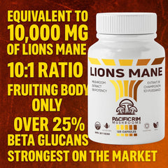 Two Lion's Mane capsules showing a 1000 mg serving